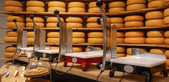 Industrial cheese cutting machines