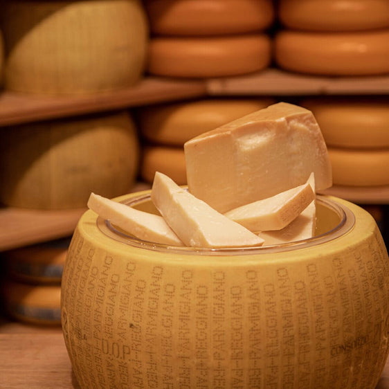 Cheese Replica Parmesan Reggiano incl. Bowl - Boska.com