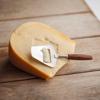 Cheese Slicer Mini Taste - Boska.com